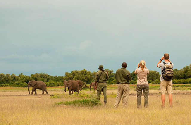 Game Viewing